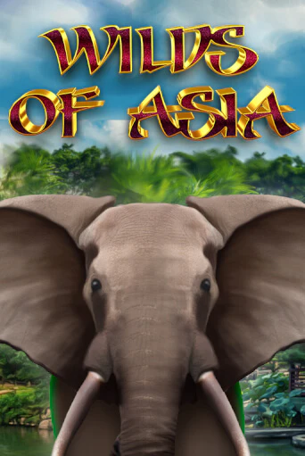 Демо игра Wilds of Asia без регистрации | Champion Slots BY 